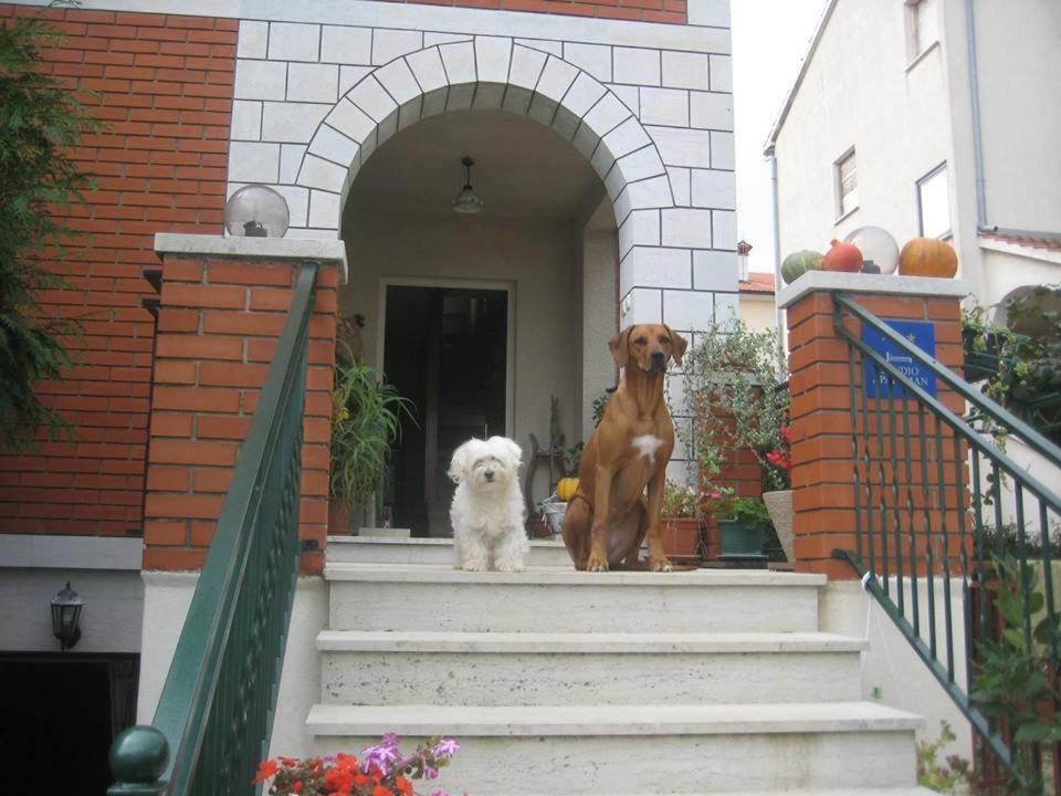 Apartamento House Kate Rovinj Exterior foto