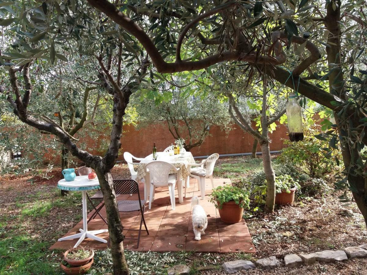 Apartamento House Kate Rovinj Exterior foto